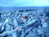 2003_0405_153631AA.JPG (345054 bytes)