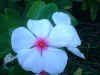 2003_0406_091916AA.JPG (322341 bytes)