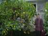 Art & Lemon tree.jpg (82247 bytes)