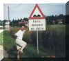 Norway speed bump.jpg (26739 bytes)