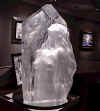 Plastic bust of girl Charlene maybe.jpg (66409 bytes)