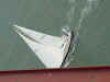 Sailboat under Golden Gate Bridge.jpg (32097 bytes)