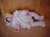 Sleeping Baby by Charlene Foster.jpg (32916 bytes)