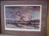 Squal Line by John Green 1985 (2 of 32 Artist Proof).jpg (39769 bytes)
